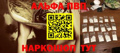 a pvp Кингисепп