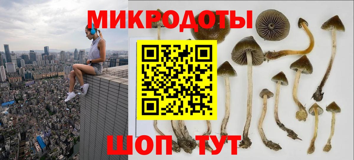 Псилоцибиновые грибы Psilocybine cubensis  Псилоцибиновые грибы мицелий  Костомукша  Вход с VPN 